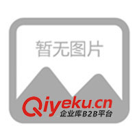 塑料打火機(jī)、金屬打火機(jī)、廣告打火機(jī)、磨砂打火機(jī)(圖)